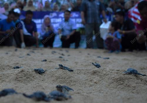 TR02_21082019_PELAJAR_MERDEKA