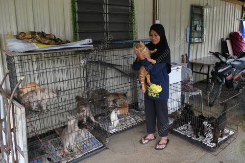 BANJIR OKU