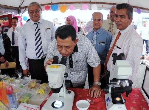 TR02_22072014_HAPUS_DENGGI