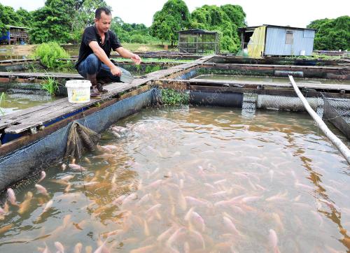 TR02_22082012_PENIAGA_IKAN