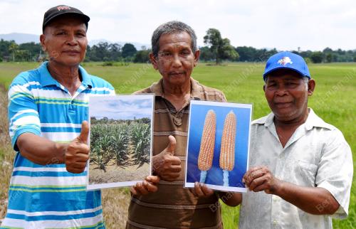 TR02_23042018_JAGUNG