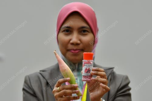 DR NOR ASIAH MUHAMAD NOR