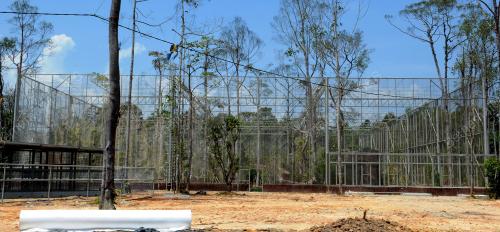 TR02_25022014_ZOO_TAMBAHAN