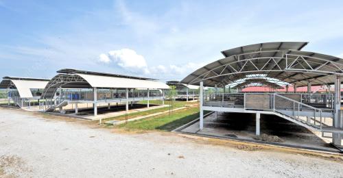 TR02_25092013_AGRO_KAMBING