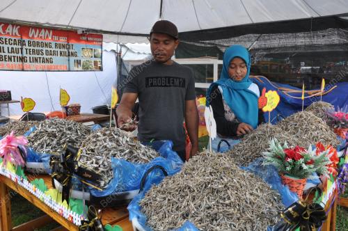 TR02_25092019_HARI_PELADANG