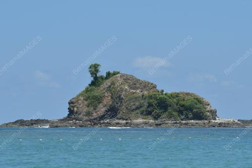 TR02_26032019_PULAU_KAPAS_BN201903203941