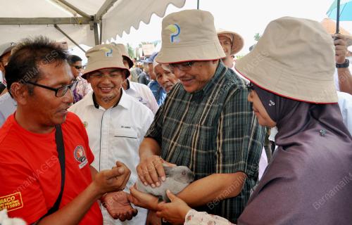 TR02_26092019_PELADANG