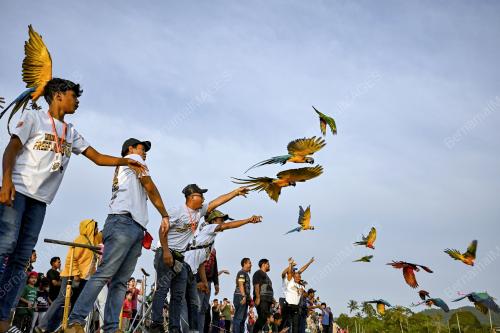 TERENGGANU FREE FLY GATHERING 2023