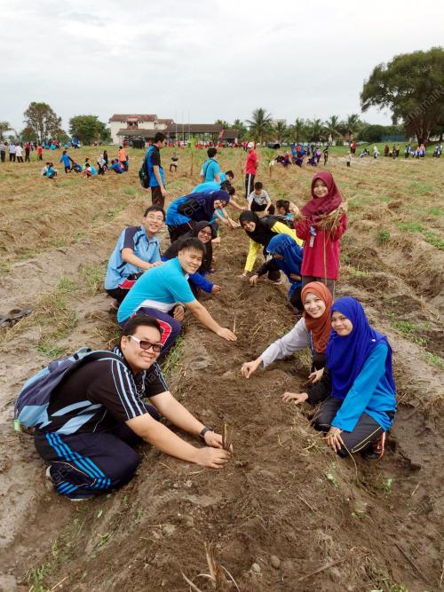 TR02_27062016_TANAM_POKOK