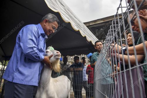 PERASMIAN LADANG INDUK PENGGANDA KAMBING TENUSU