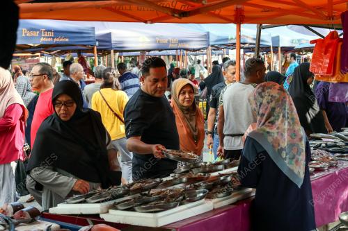 JUALAN AGRO MADANI