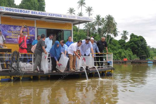 TR02_28082017_UDANG_GALAH