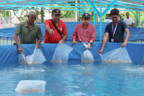 PROJEK TERNAK IKAN SEJATI MADANI
