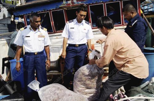 TR02_29102014_APMM_NELAYAN