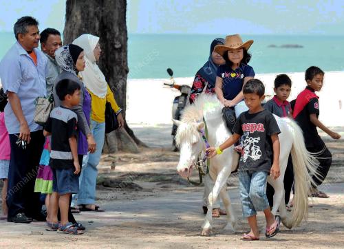 TR02_30052012_SEWA_KUDA
