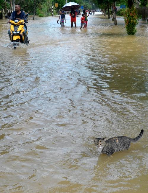 TR02_30112019_BANJIR