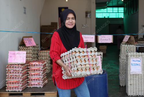 TELUR AYAM