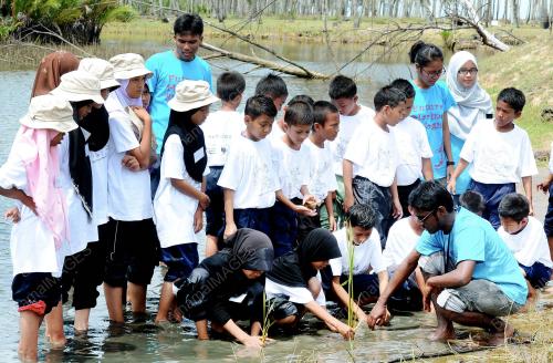 TR02_31102012_TANAM_NIPAH