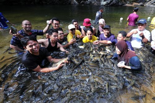 TR03_01042017_IKAN_KELAH