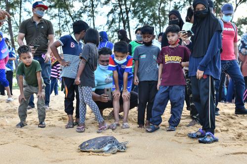 PENYU DILEPASKAN KE LAUT