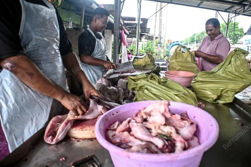 PENAMATAN SUBSIDI AYAM