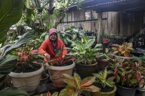 CUACA SEJUK