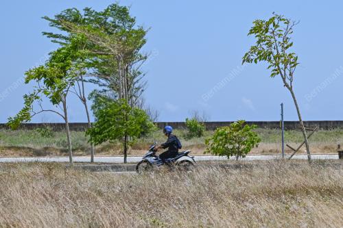 TINJAUAN CUACA PANAS