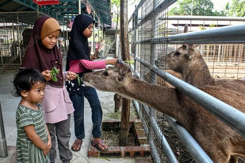 ZOO RIMBA RAZIA