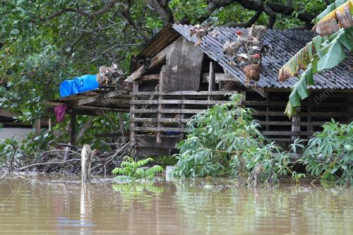 BANJIR DI SETIU