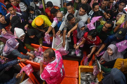 JUALAN MURAH IKAN SIAKAP