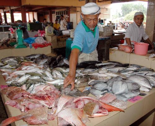 PASAR IKAN