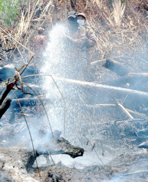 TR03_03032014_HUTAN_TERBAKAR