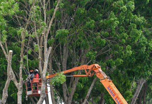 PEMANGKASAN POKOK SECARA BERKALA