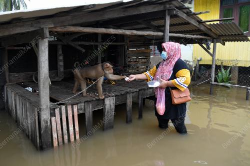 BANJIR TERENGGANU