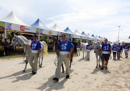 KEJOHANAN KUDA LASAK WEC 2008
