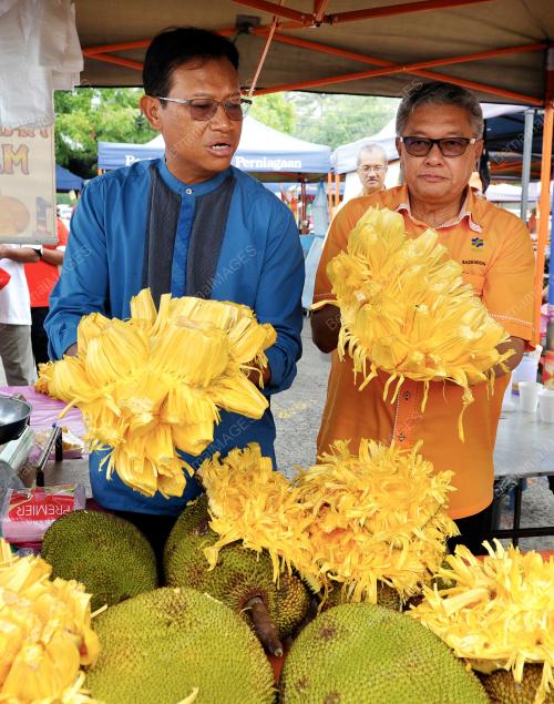 TR03_07082015_SHABERY_PASAR