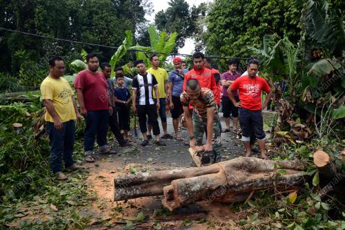 TR03_07092019_RIBUT