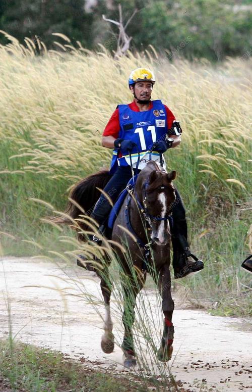 KEJOHANAN KUDA LASAK 2008