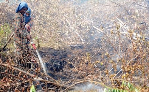 TR03_08032015_HUTAN_TERBAKAR