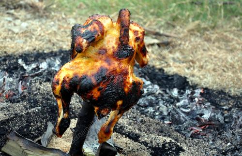 TR03_08052019_AYAM_TIN
