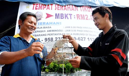TR03_08102012_BASMI_TIKUS