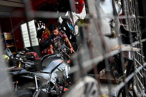 BUDAK KERBAU