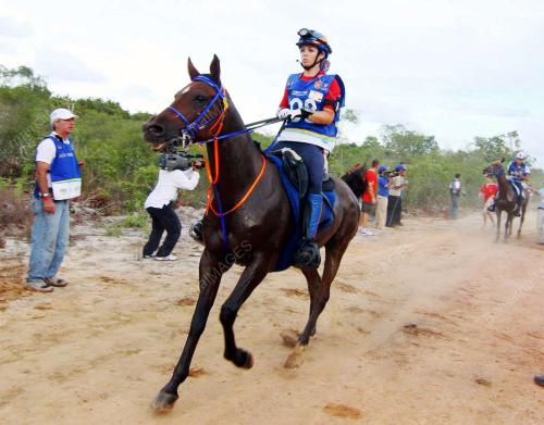 KEJOHANAN KUDA LASAK 2008