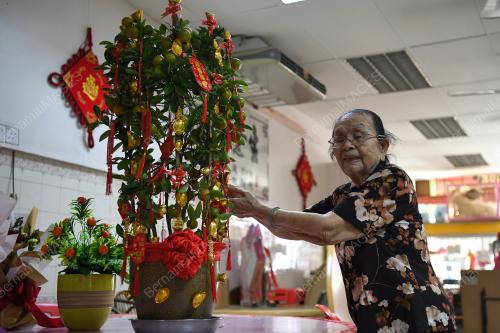 WARGA EMAS 100 TAHUN RAI TAHUN BARU CINA PKP