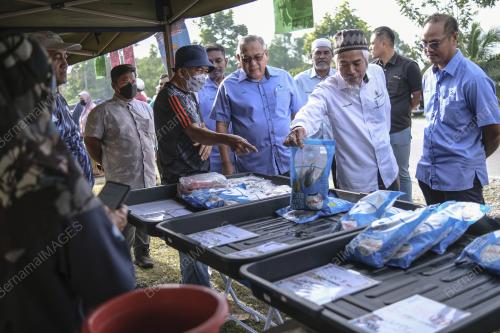 JUALAN TERUS DARI LADANG KELUARGA MALAYSIA