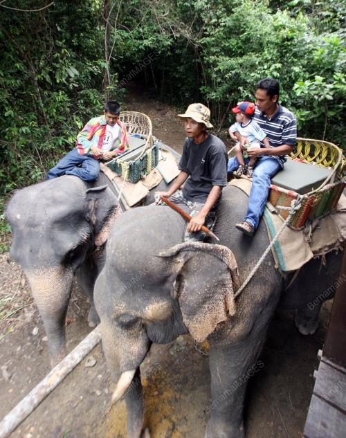 TAMAN REKREASI DAN MINI ZOO