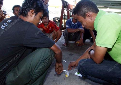 OPERASI CAMAR OCTOPUS