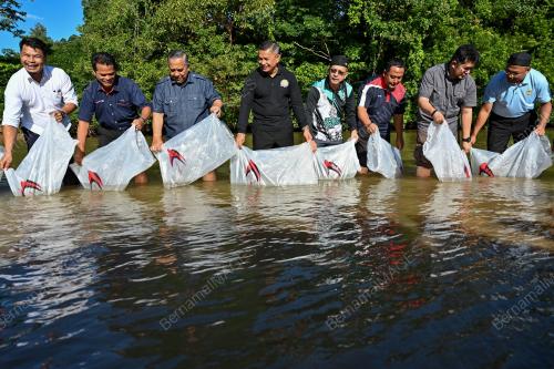 DR AZMAN IBRAHIM