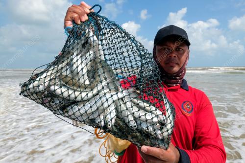 NELAYAN CARI IKAN DI PERSISIR PANTAI