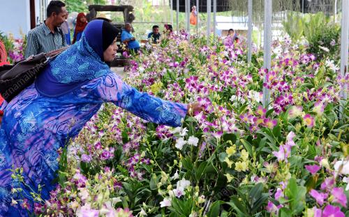 TR03_12042015_BUNGA_KETENGAH